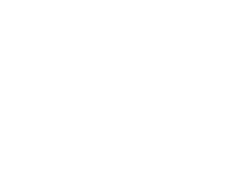 msp logo reversed